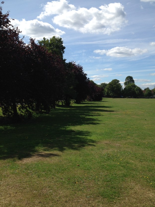 looking south with avenue on left