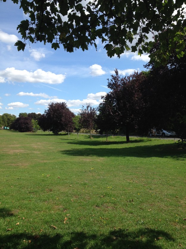 looking north with avenue on the right