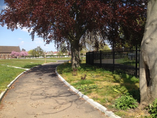 20160504_125748302_iOS