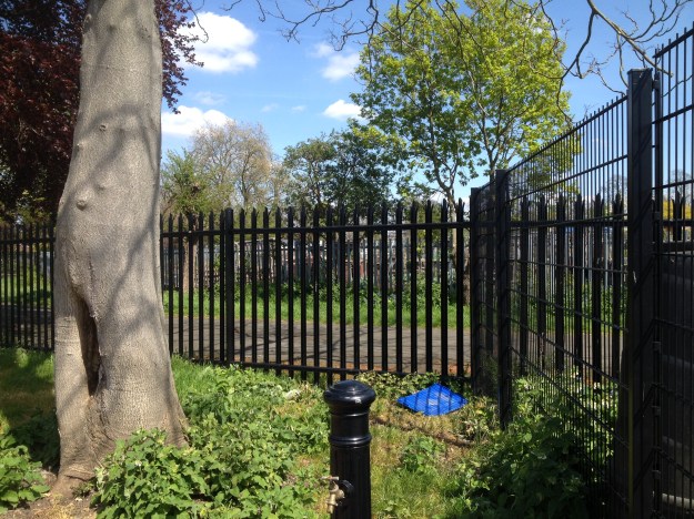 20160504_125752331_iOS